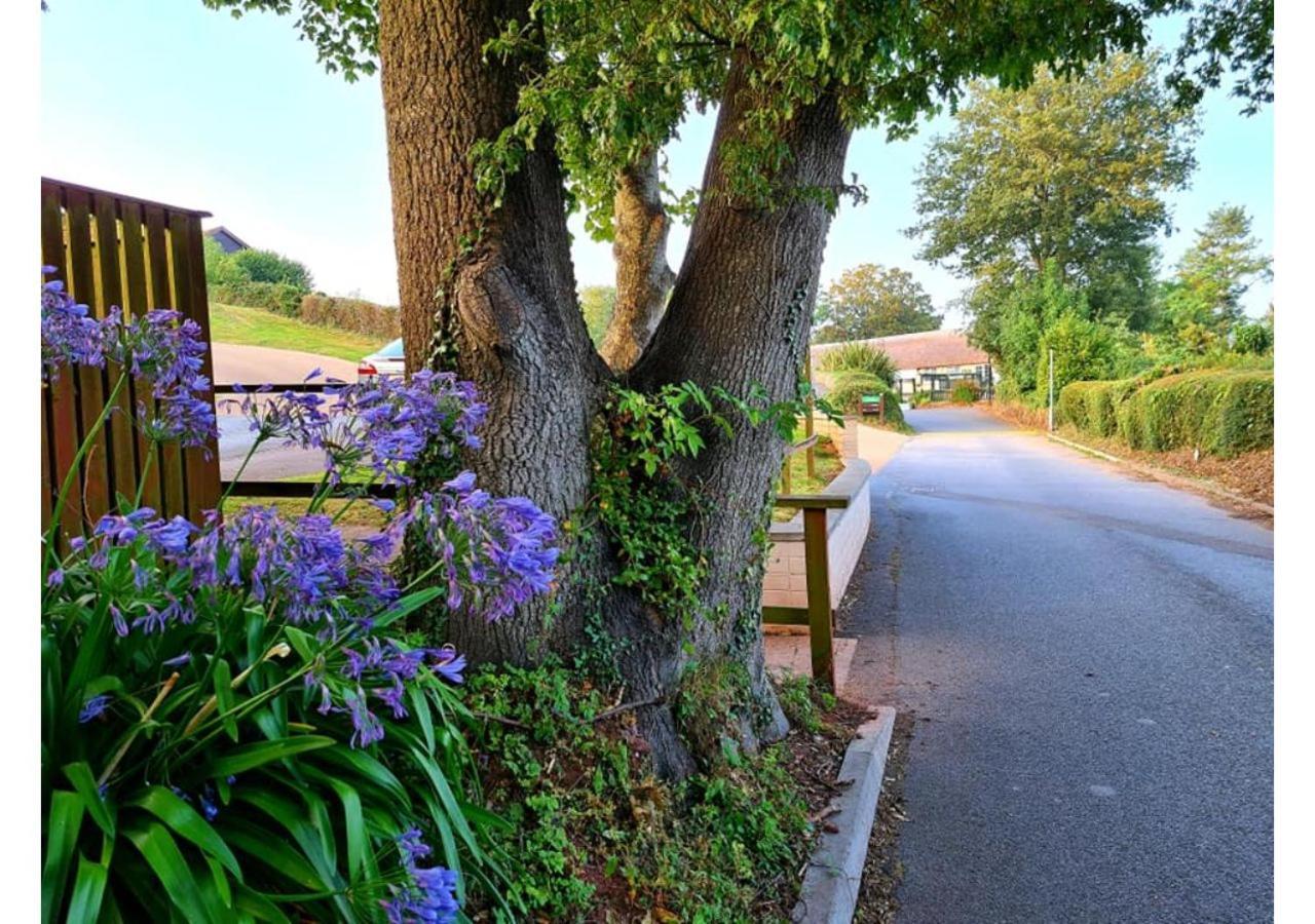 Butterfly Lodge Paignton Zewnętrze zdjęcie